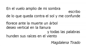Poema Magdalena Tirado
